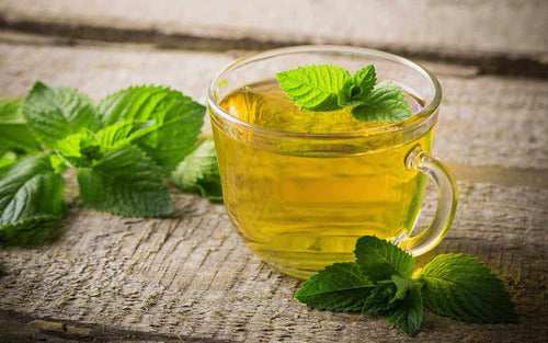 Té Verde Con Menta 25 Bolsitas
