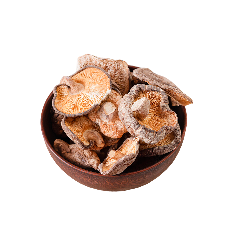 Hongo Shiitake Deshidratado 100g